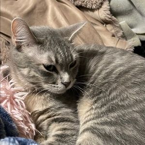 Meet your Posher, Carlee